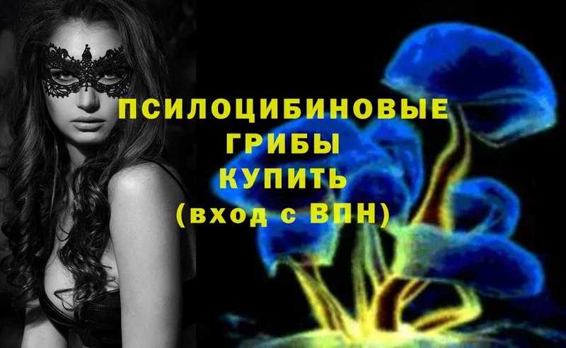 Псилоцибиновые грибы Magic Shrooms  Бавлы 